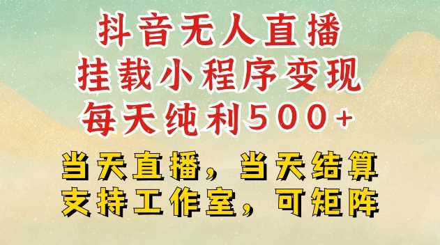 抖音无人直播挂载小程序变现每天纯利500+当天直播，当天结算支持工作室，可矩阵【揭秘】插图