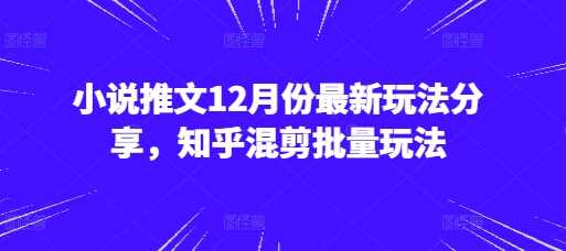 小说推文12月份zui新玩法分享，知乎混剪批量玩法插图