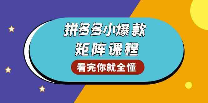 拼多多爆款矩阵课程：教你测出店铺爆款，优化销量，提升GMV，打造爆款群插图