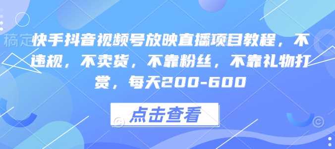 快手抖音视频号放映直播项目教程，不违规，不卖货，不靠粉丝，不靠礼物打赏，每天200-600插图