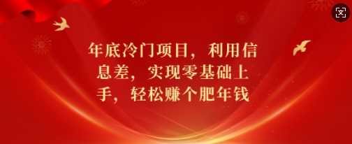 年底冷门项目，利用信息差，实现零基础上手，轻松赚个肥年钱【揭秘】插图