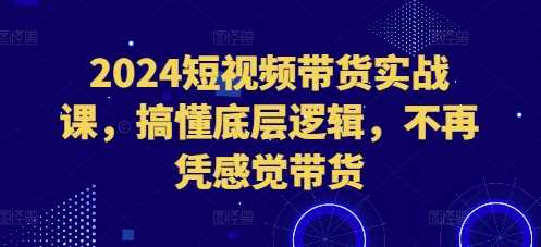 2024短视频带货实战课，搞懂底层逻辑，不再凭感觉带货插图