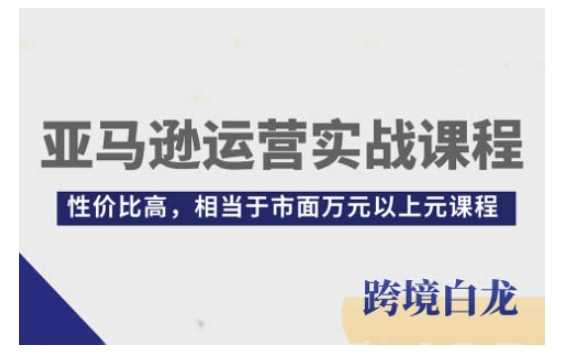 亚马逊运营实战课程，亚马逊从入门到精通，性价比高，相当于市面万元以上元课程插图