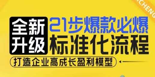 21步爆款必爆标准化流程，全新升级，打造企业高成长盈利模型插图