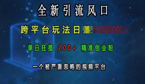 全新引流风口，跨平台玩法日入上k，单日狂揽200+精准创业粉，一个被严重忽略的视频平台插图