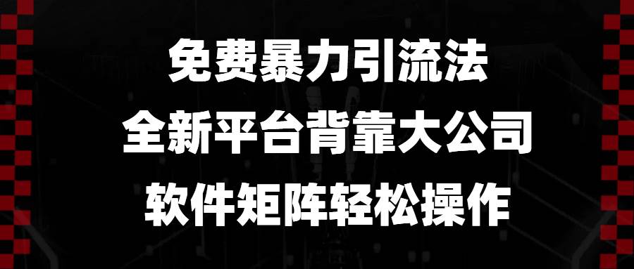 （13745期）免费暴力引流法，全新平台，背靠大公司，软件矩阵轻松操作插图