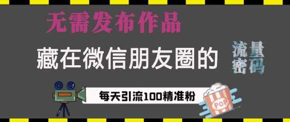 藏在微信朋友圈的流量密码，无需发布作品，单日引流100+精准创业粉【揭秘】插图