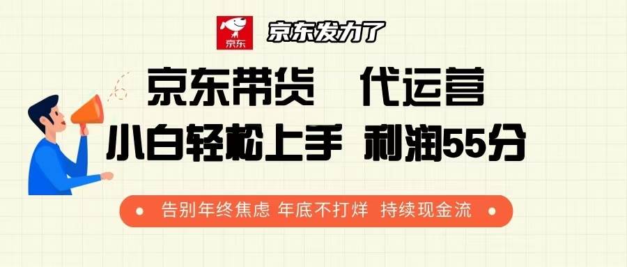 （13833期）京东带货 代运营 利润55分 告别年终焦虑 年底不打烊 持续现金流插图