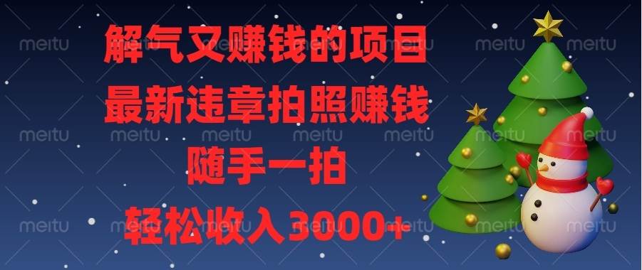 （13686期）解气又赚钱的项目，zui新违章拍照赚钱，随手一拍，轻松收入3000+插图