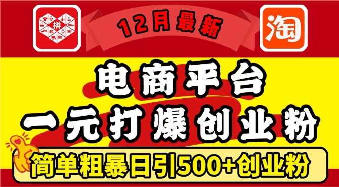 12月zui新：电商平台1元打爆创业粉，简单粗暴日引500+精准创业粉，轻松月入过W【揭秘】插图