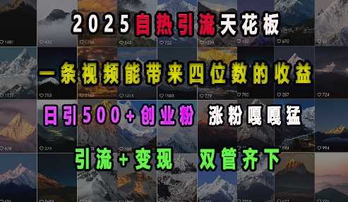 2025自热引流天花板，一条视频能带来四位数的收益，引流+变现双管齐下，日引500+创业粉，涨粉嘎嘎猛插图