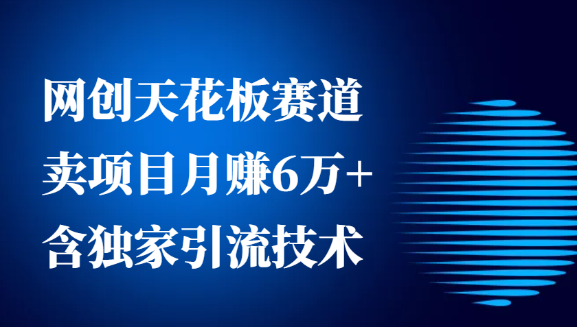 网创天花板赛道，卖项目月赚6万+，含独家引流技术（共26节课）插图