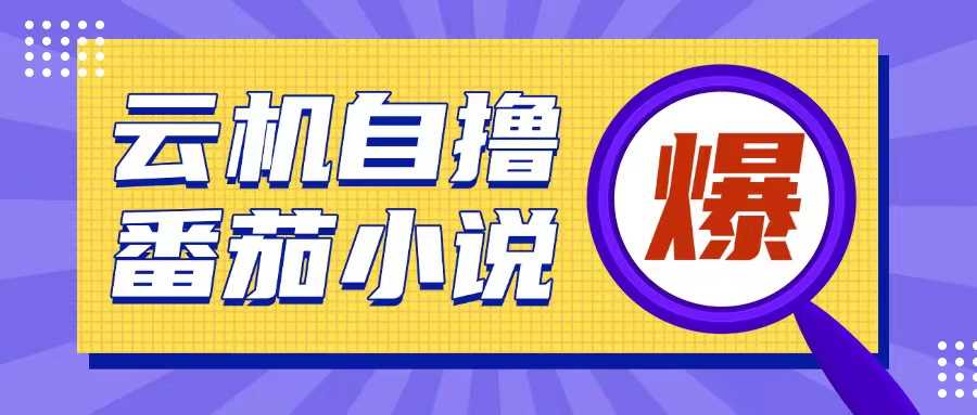 首发云手机自撸小说玩法，10块钱成本可撸200+收益操作简单【揭秘】插图