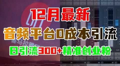 12月zui新：音频平台0成本引流，日引流300+精准创业粉插图