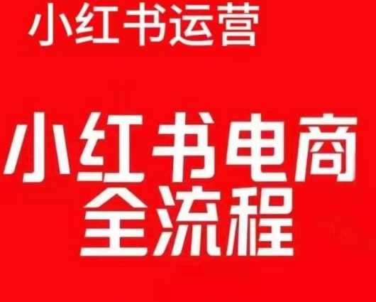 红薯电商实操课，小红书电商全流程插图