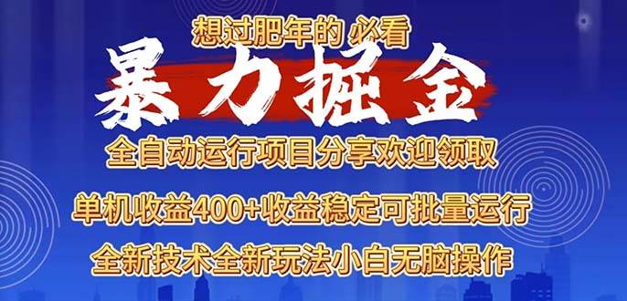 （13675期）2025暴力掘金项目，想过肥年必看！插图