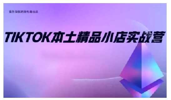 TikTok本土精品小店出海实战营，从入门到高阶，不止0-1!插图