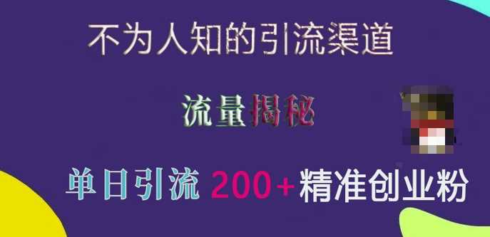 不为人知的引流渠道，流量揭秘，实测单日引流200+精准创业粉【揭秘】插图