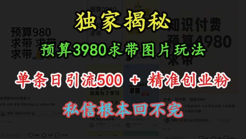 预算3980求带 图片玩法，单条日引流500+精准创业粉，私信根本回不完插图