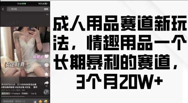 成人用品赛道新玩法，情趣用品一个长期暴利的赛道，3个月收益20个【揭秘】插图