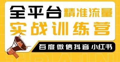 全平台精准流量实战训练营，百度微信抖音小红书SEO引流教程插图