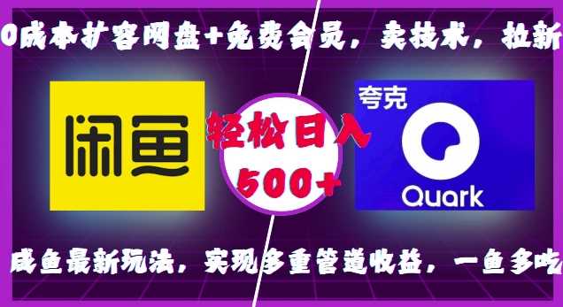 0成本扩容网盘+免费会员，卖技术，拉新，咸鱼zui新玩法，实现多重管道收益，一鱼多吃，轻松日入500+插图