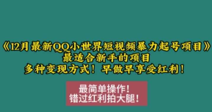 12月zui新QQ小世界短视频暴力起号项目，zui适合新手的项目，多种变现方式插图