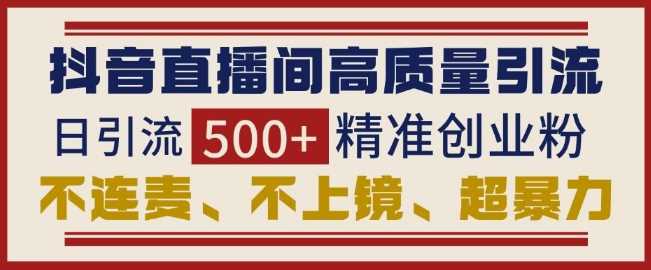 抖音直播间引流创业粉，无需连麦、不用上镜、超暴力，日引流500+高质量精准创业粉插图