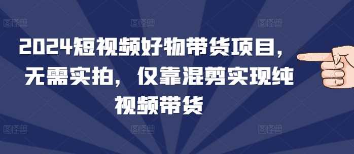 2024短视频好物带货项目，无需实拍，仅靠混剪实现纯视频带货插图