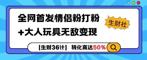 【生财36计】全网首发情侣粉打粉+大人玩具无敌变现插图