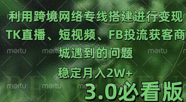 利用跨境电商网络及搭建TK直播、短视频、FB投流获客以及商城遇到的问题进行变现3.0必看版【揭秘】插图