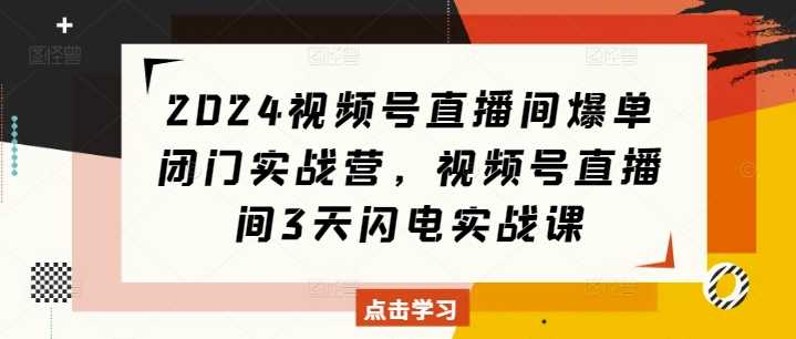 2024视频号直播间爆单闭门实战营，视频号直播间3天闪电实战课插图