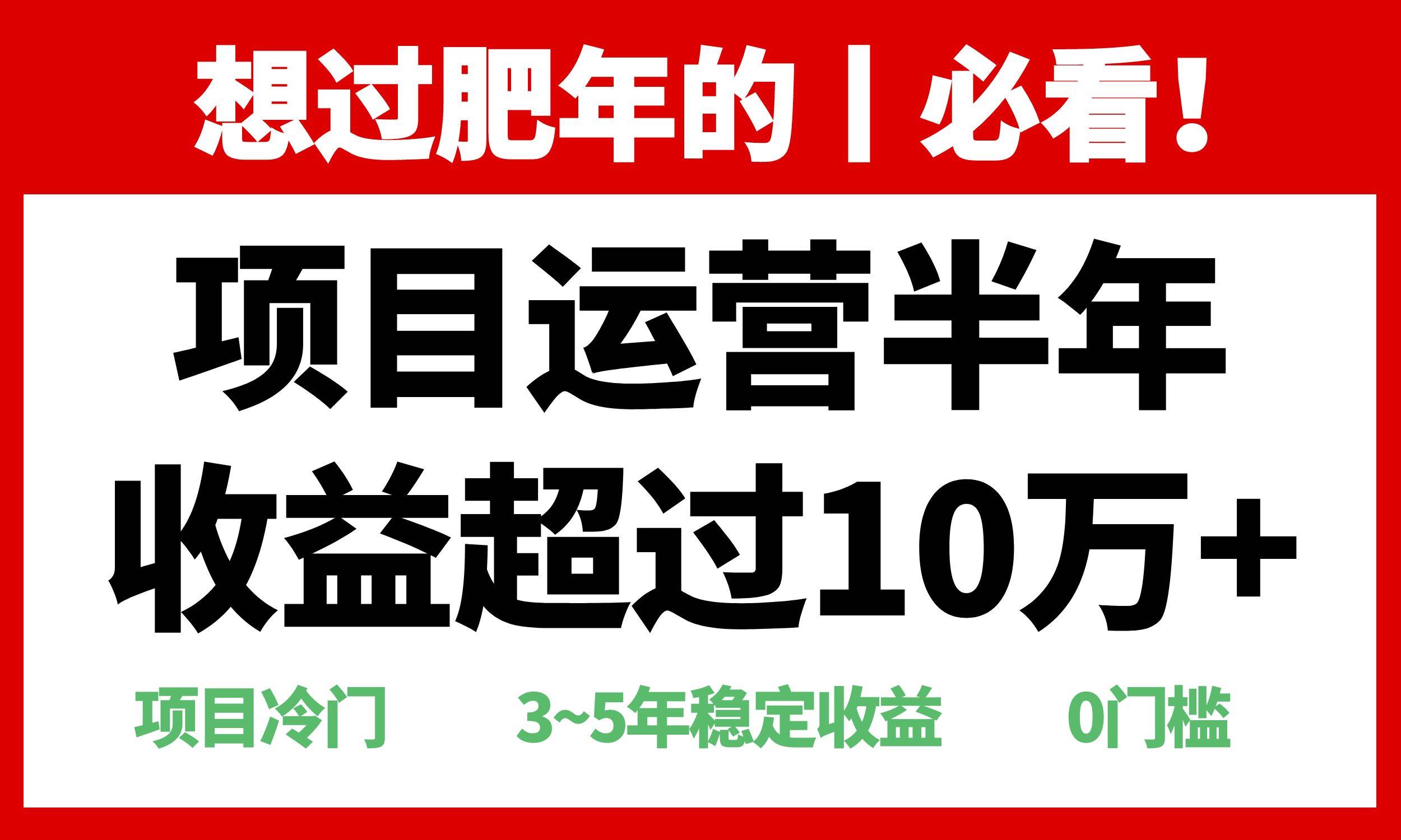 （13663期）年前过肥年的必看的超冷门项目，半年收益超过10万+，插图