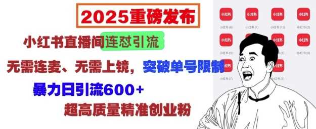 2025重磅发布：小红书直播间连怼引流，无需连麦、无需上镜，突破单号限制，暴力日引流600+插图