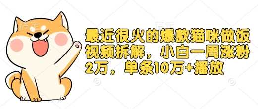 zui近很火的爆款猫咪做饭视频拆解，小白一周涨粉2万，单条10万+播放(附保姆级教程)插图