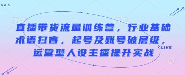 直播带货流量训练营，行业基础术语扫盲，起号及账号破层级，运营型人设主播提升实战插图