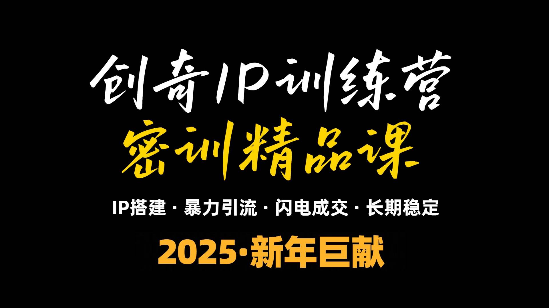 （13898期）2025年“知识付费IP训练营”小白避坑年赚百万，暴力引流，闪电成交插图