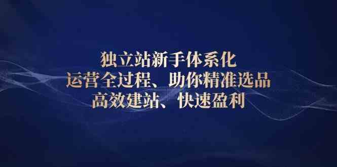 独立站新手体系化 运营全过程，助你精准选品、高效建站、快速盈利插图