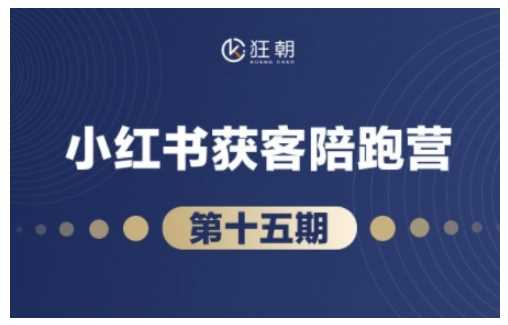 抖音小红书视频号短视频带货与直播变现(11-15期),打造爆款内容，实现高效变现插图