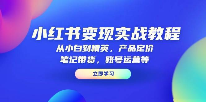 小红书变现实战教程：从小白到精英，产品定价，笔记带货，账号运营等插图