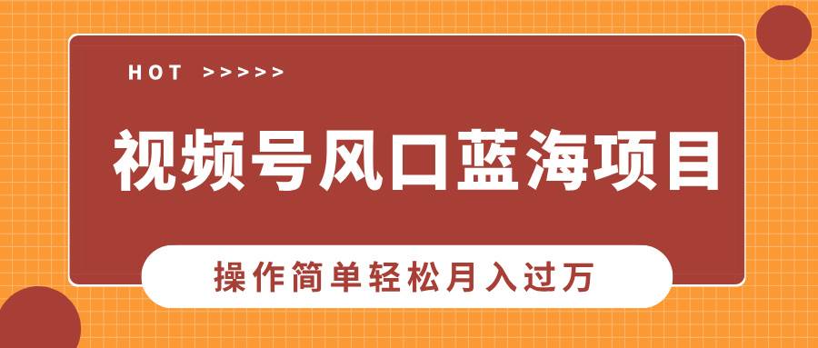 （13945期）视频号风口蓝海项目，中老年人的流量密码，操作简单轻松月入过万插图