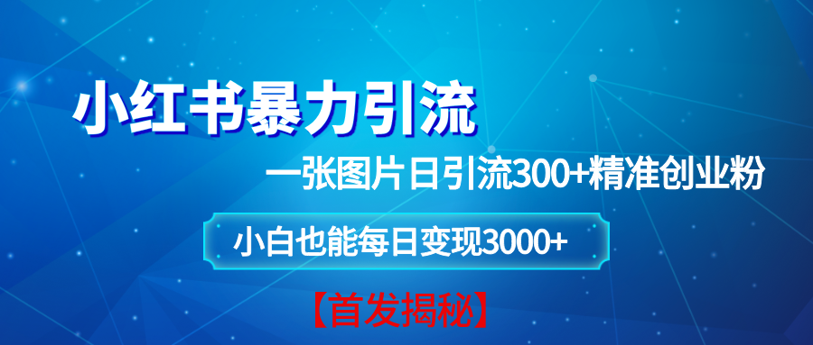 （13935期）小红书暴力引流法，一张图片日引 300+精准创业粉，每日稳定变现 3000+【揭秘】插图