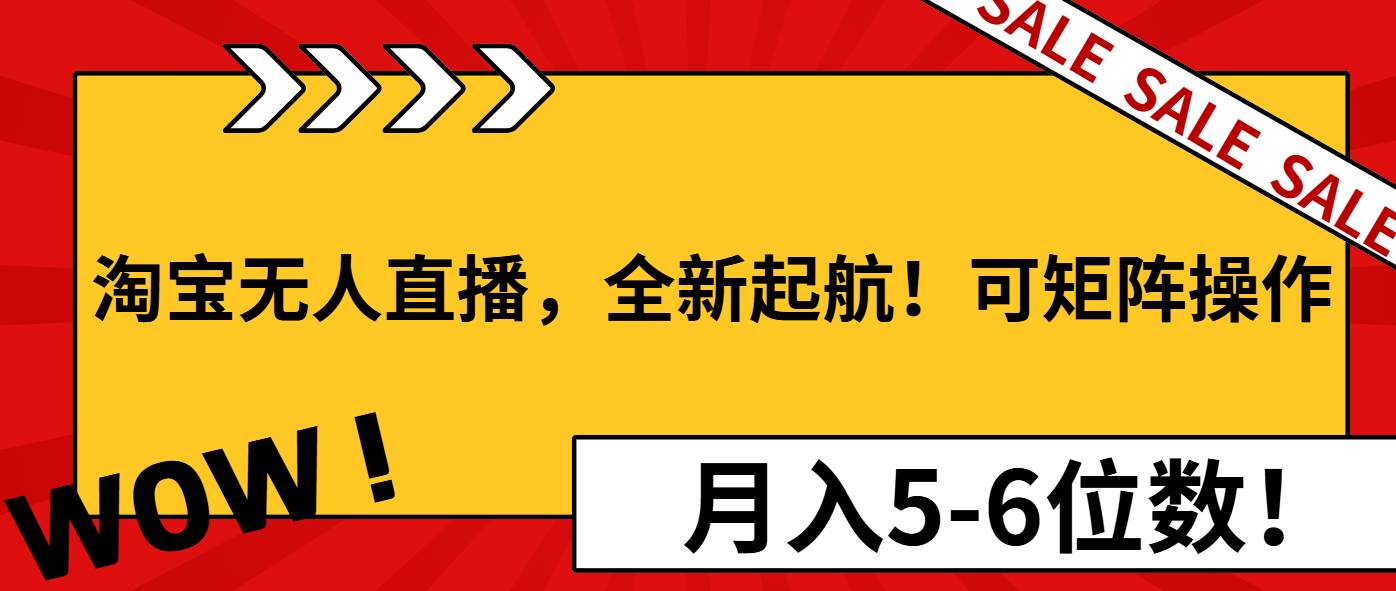 （13946期）淘宝无人直播，全新起航！可矩阵操作，月入5-6位数！插图