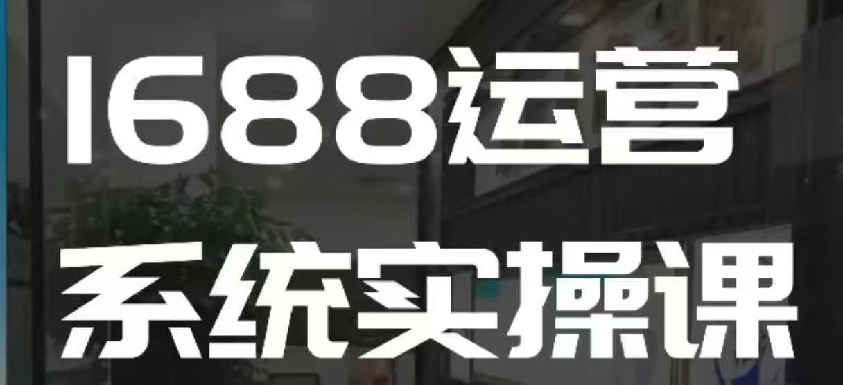 1688高阶运营系统实操课，快速掌握1688店铺运营的核心玩法插图